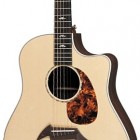 Breedlove Focus Premier Dreadnought