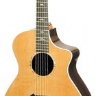 Breedlove Focus