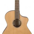 Breedlove Passport C25 FS