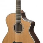 Breedlove Pro C25/CR Herringbone