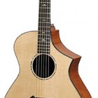 Breedlove Performance Fusion