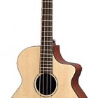 Breedlove Passport B 35