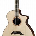 Breedlove Ed Gerhard Exotic