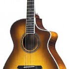 Breedlove Atlas Series Stage C250/EF