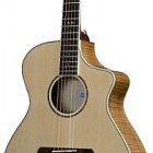 Breedlove Atlas Series Studio C250/EF