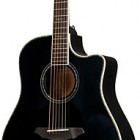 Breedlove Atlas Series Stage Black Magic D25