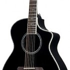 Breedlove Atlas Series Stage Black Magic C25