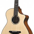 Breedlove American Series C25/SM