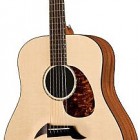 Breedlove American Series D20/SM