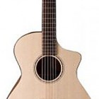 Breedlove American Series C25/SMe