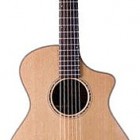 Breedlove American Series C25/CRe Herringbone Solo