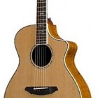 Breedlove 35th Anniversary Ltd. Edition