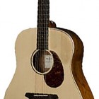 Breedlove Passport Plus D200/SB 