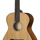 Breedlove Passport N200/CMP