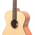 Breedlove Passport OM/SM