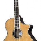 Breedlove Atlas Series Stage BJ350/CR4