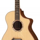 Breedlove Master Class C25 Custom Bearclaw