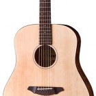 Breedlove Passport D200/SMP