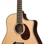 Breedlove Pro D25/SR Herringbone