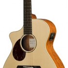 Breedlove Passport Plus C250/SB Left Handed