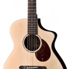 Breedlove Passport Plus C250/SRe