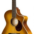 Breedlove Passport Plus C250/SF