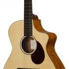 Breedlove Passport Plus C250/SB