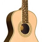 Washburn R 321SWRK