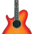 Daisy Rock Wildwood Artist Deluxe Left-Handed