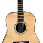 Breedlove Roots D/SR Herringbone