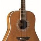 Washburn WSJ 124K