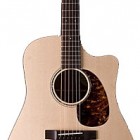 Breedlove American Series D25/SMe