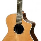 Breedlove Performance Focus