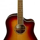 Breedlove American Series D25/SM