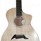 Breedlove American C25/SSe 12