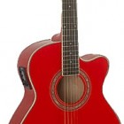 Washburn EA 12