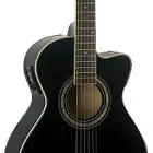 Washburn EA 10