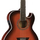 Washburn EA 14