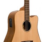 Washburn WD 750SWCE