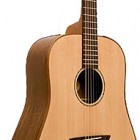 Washburn WD 750SW