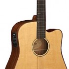 Washburn WD 150SWCE