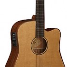 Washburn WD 160SWCE