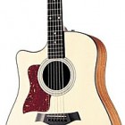 Taylor 310ce Left Handed