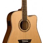 Washburn WD 10SCE