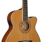 Washburn WMJ 11SCE