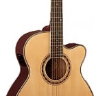 Washburn WMJ 10SCE