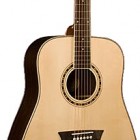 Washburn WD 20S