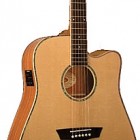 Washburn WD 15SCE