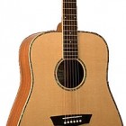 Washburn WD 15S