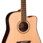 Washburn WD 20SCE